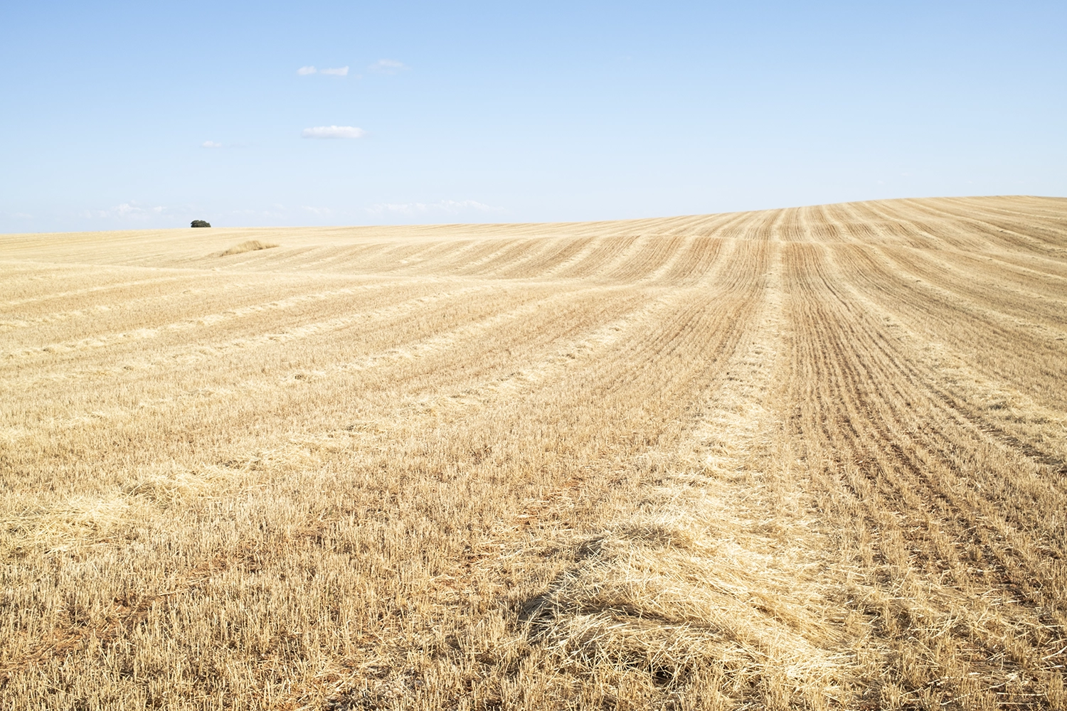 Valhermoso de la Fuente