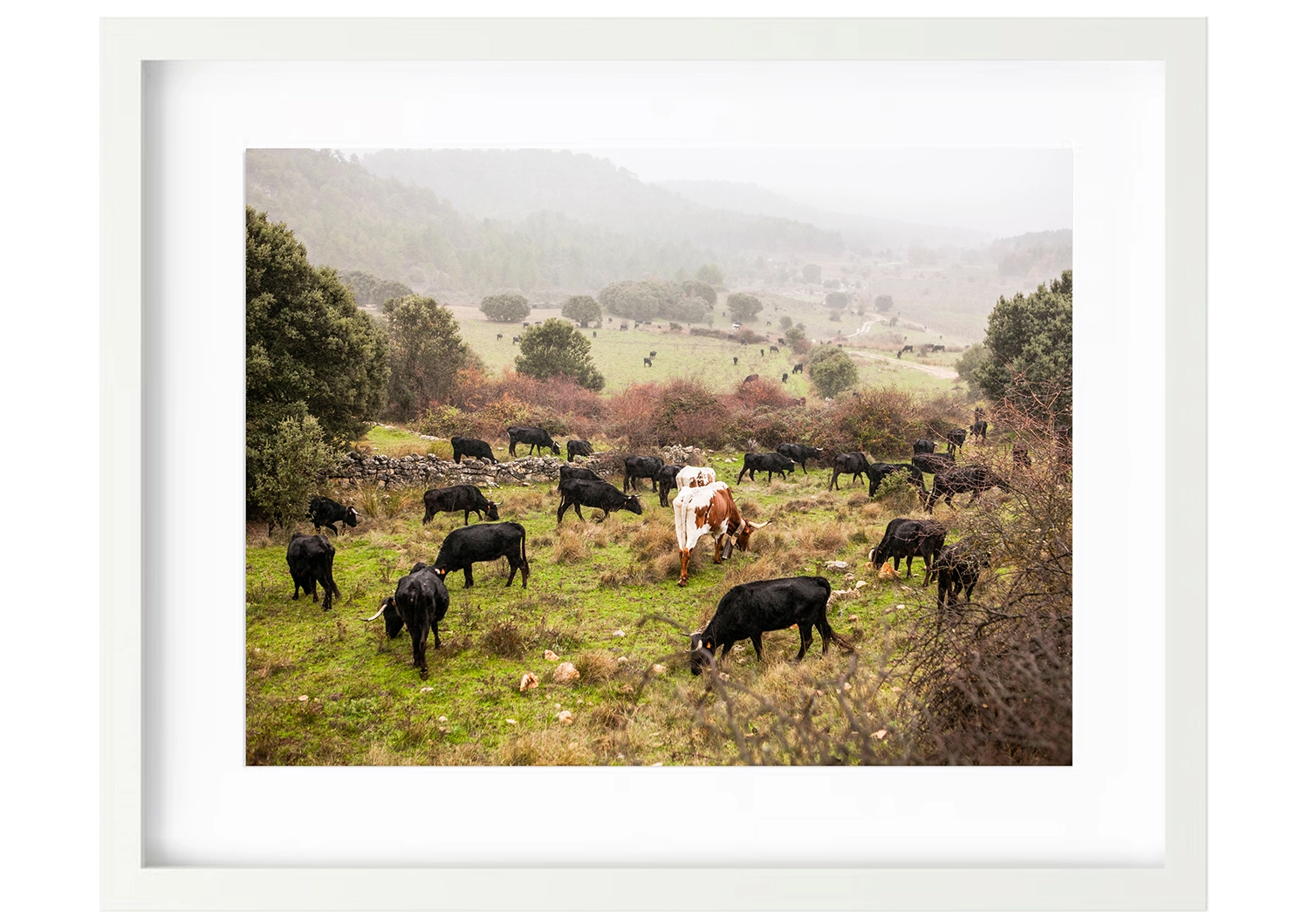 Fotografía figurativa